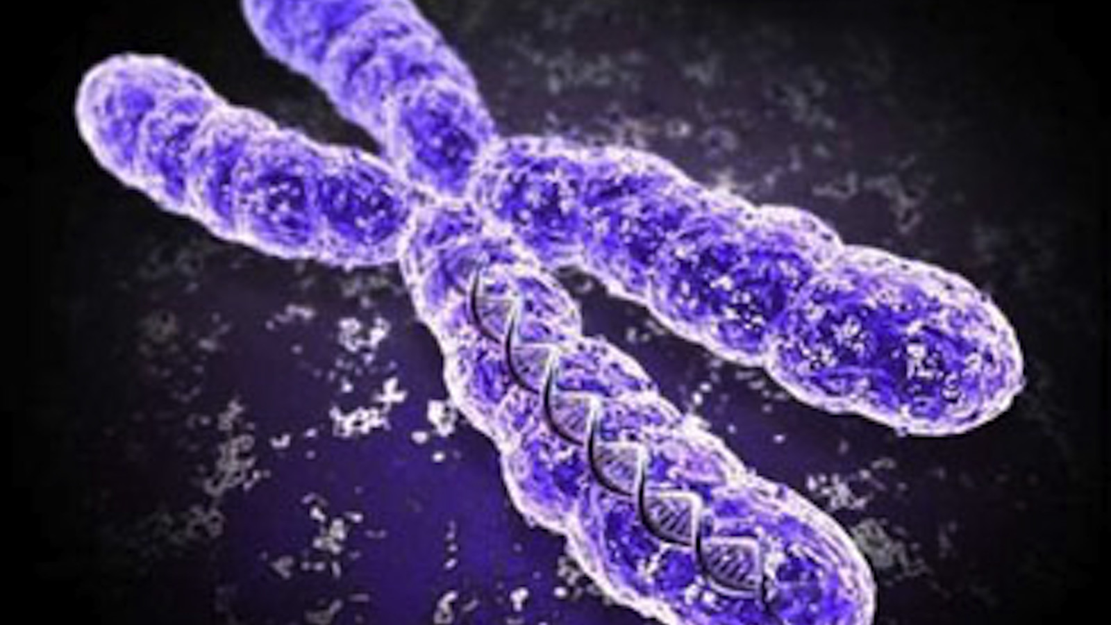 Наследственный материал хромосомы. Центромера. Хромосома. Генетика хромосомы. Хромосомы под микроскопом.