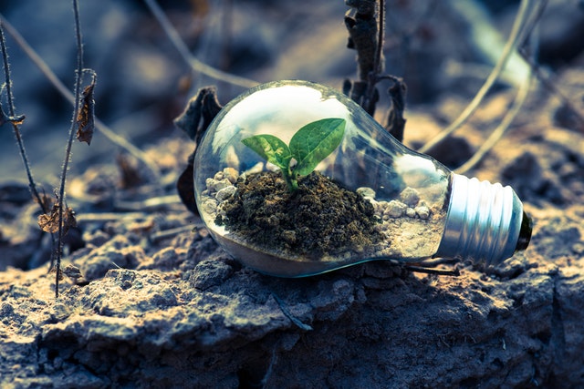 How Technology Can Help Your Business Stay Environmentally Friendly